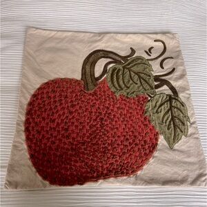 Pottery Barn Pumpkin Pillow Cover, Velvet Pickstitch
22 x22 used